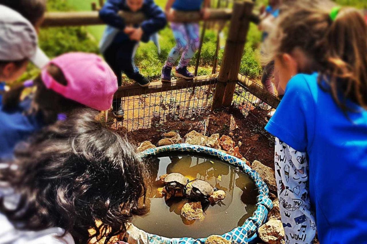 Casa Rural Finca Real De Niebla Dış mekan fotoğraf