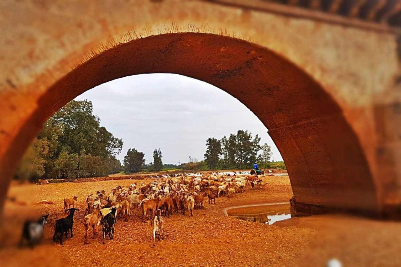Casa Rural Finca Real De Niebla Dış mekan fotoğraf