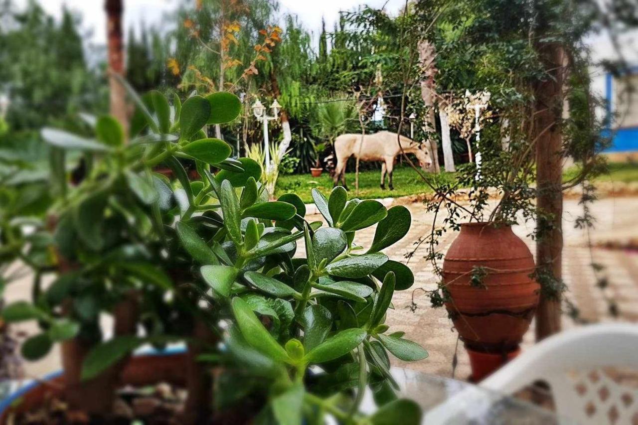 Casa Rural Finca Real De Niebla Dış mekan fotoğraf