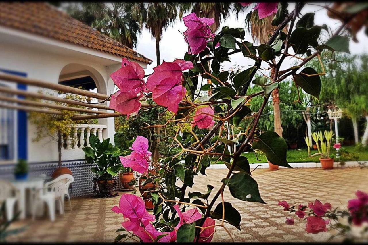 Casa Rural Finca Real De Niebla Dış mekan fotoğraf